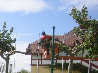 poda (18)